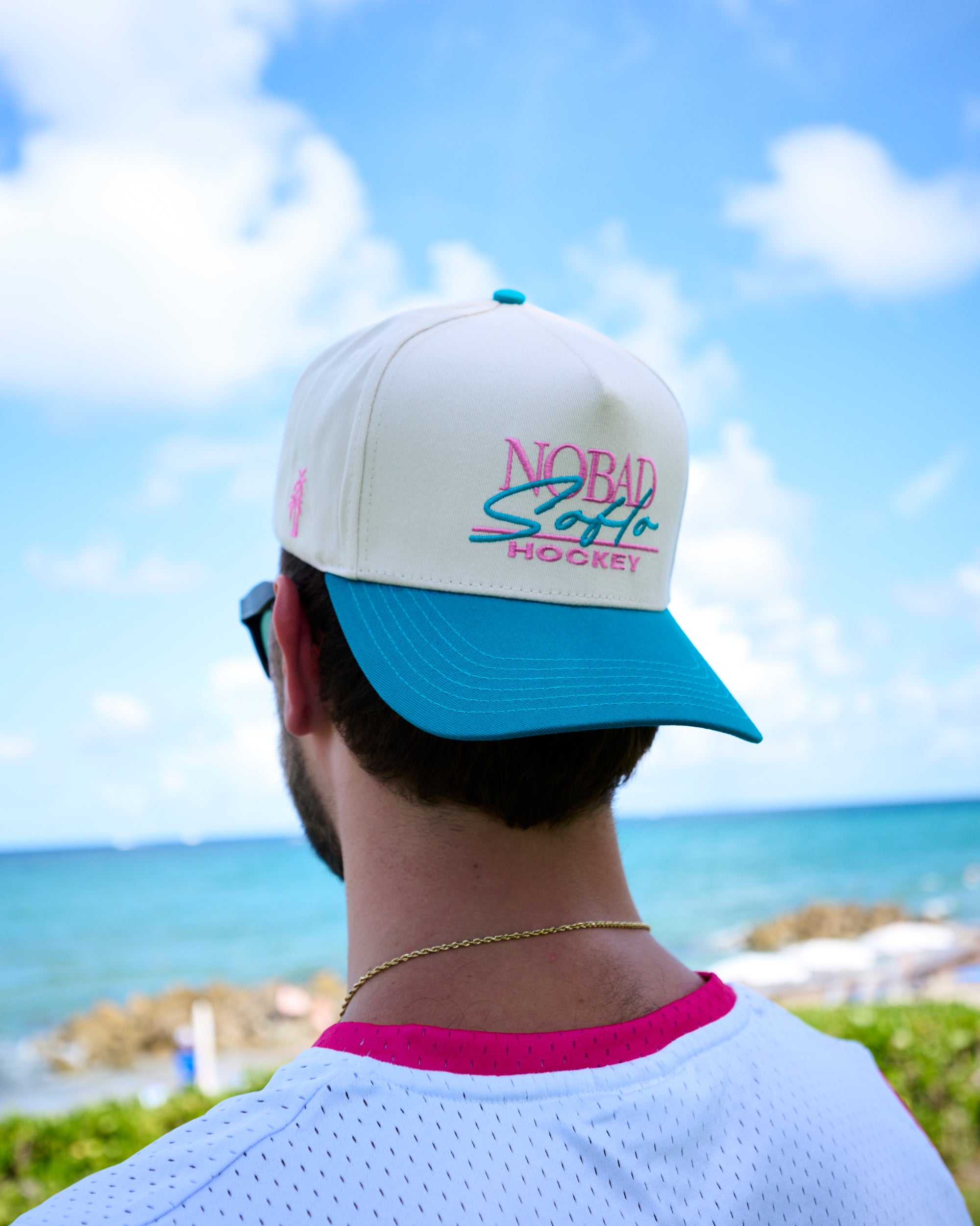 SoFlo Hockey Snapback