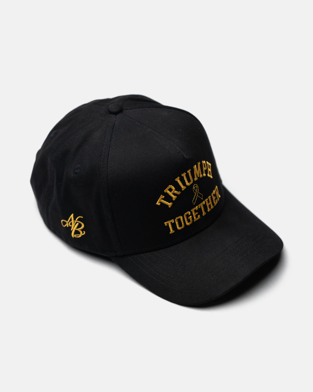 Triumph Together Hat
